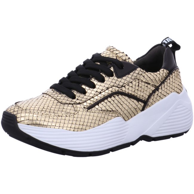 Kennel Schmenger Yuko in Gold